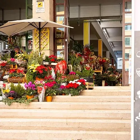 Apartment 1 In Centro A *